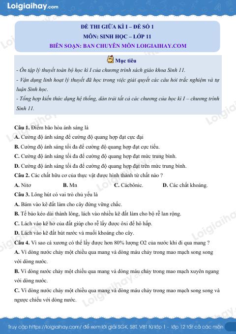 Đề kiểm tra giữa kì 1 Sinh 11 - Đề số 1 có lời giải chi tiết